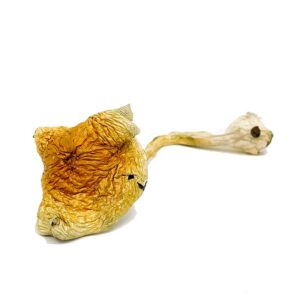 Magic Mushroom Prices