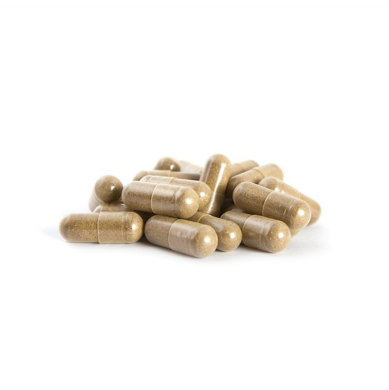 Psilocybin Capsules Canada - Osmosis Focus Capsules (6000mg) - Image 2